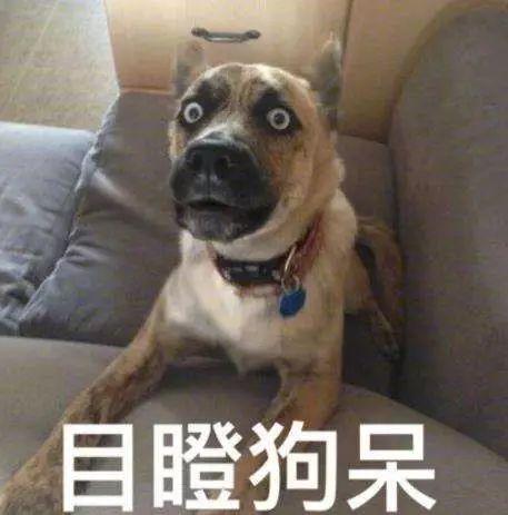 花180萬留學，回國被開2000元底薪，當初全家為她賣掉唯一住房