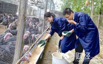 創業資訊：搞養殖創業失敗，因為你小瞧了養殖！