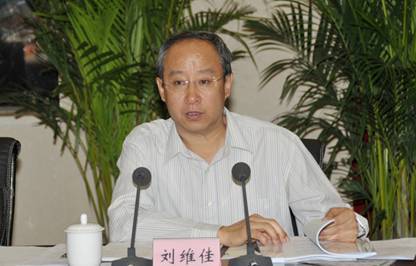 時任中央第三巡視組副組長的劉維佳