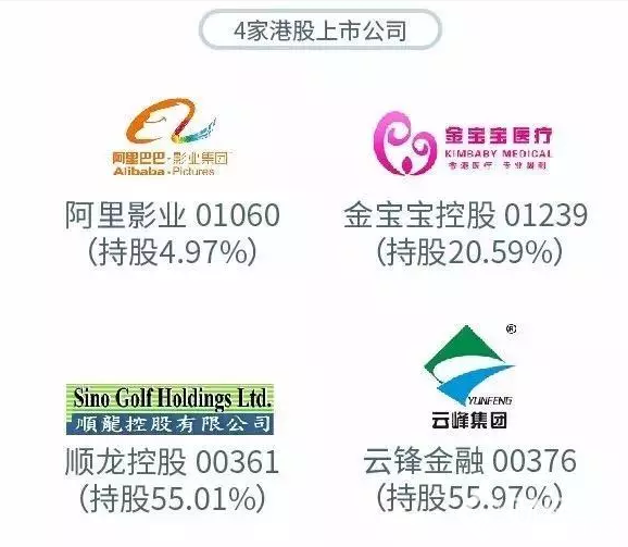 趙薇涉及的上市公司有哪些