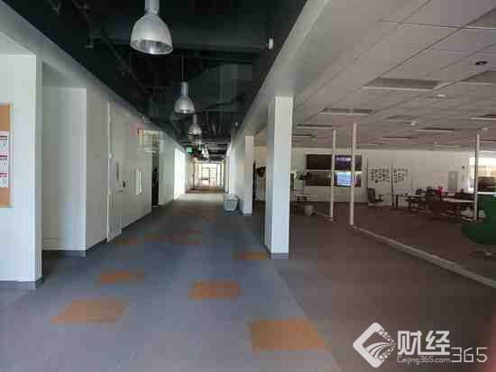 創業早報:微信推出“樂游卡” 歐盟或對科技巨頭收入征稅
