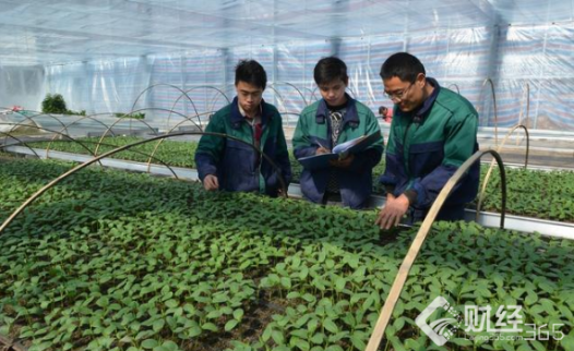 創業資訊：農民工返鄉創業 這三大項目政策補貼真不少！