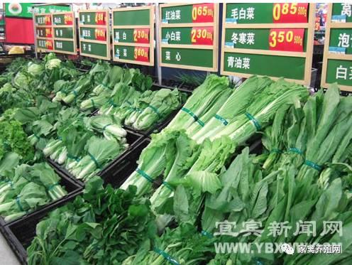 老井：蛋價(jià)上漲信號(hào)又出現(xiàn) 峰值要遠(yuǎn)超14年