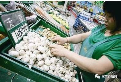 老井：蛋價(jià)上漲信號(hào)又出現(xiàn) 峰值要遠(yuǎn)超14年