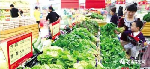 老井：蛋價(jià)上漲信號(hào)又出現(xiàn) 峰值要遠(yuǎn)超14年