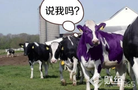 創(chuàng)業(yè)資訊：工欲善其事,必先利其器  沒有項(xiàng)目，拿什么去創(chuàng)業(yè)？