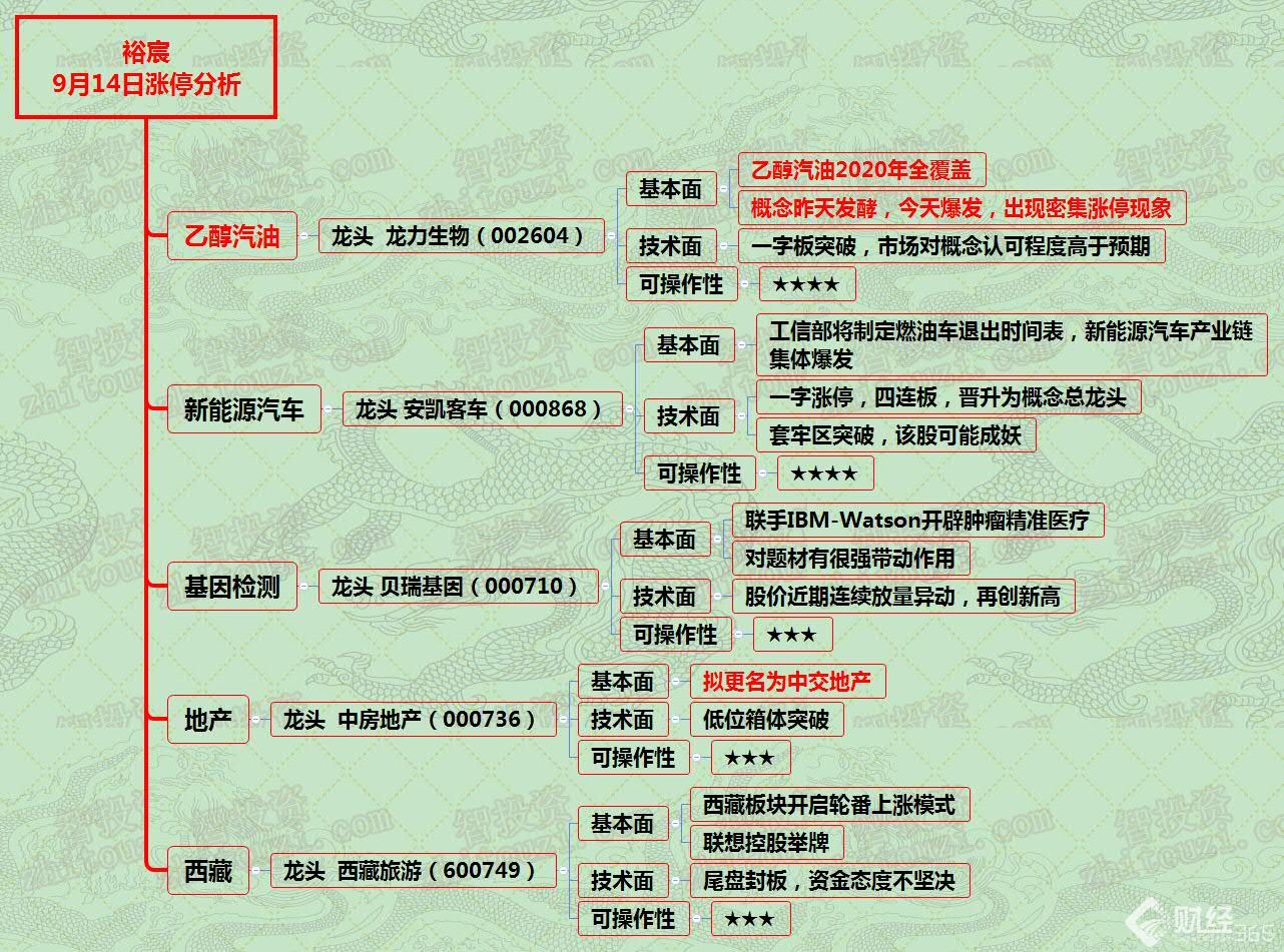 漲停分析資料圖