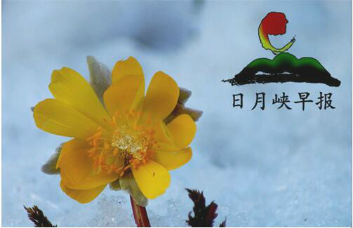 http://pic1.arkoo.com/38A7C2BFE8354EF6BEF6C933CEE7DAFF/picture/p1b7h3kmebnj21ogf1ji5109r2pd5.jpg