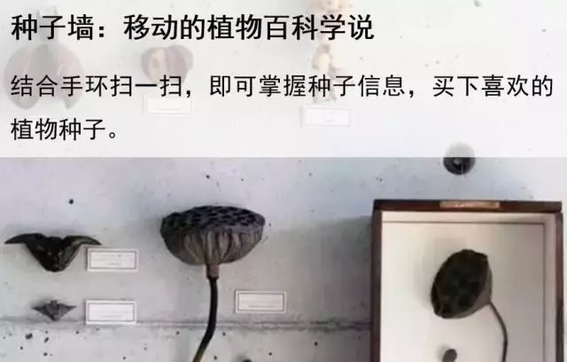 鄉村旅游成奪目亮點！先進管理+創意的鄉村生活你體驗過嗎？