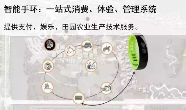 鄉村旅游成奪目亮點！先進管理+創意的鄉村生活你體驗過嗎？