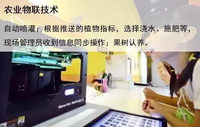 鄉村旅游成奪目亮點！先進管理+創意的鄉村生活你體驗過嗎？