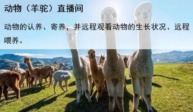 鄉村旅游成奪目亮點！先進管理+創意的鄉村生活你體驗過嗎？