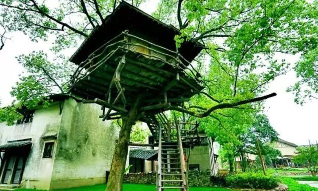 鄉(xiāng)村旅游成奪目亮點！先進管理+創(chuàng)意的鄉(xiāng)村生活你體驗過嗎？