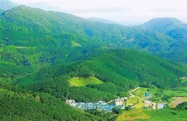 鄉村旅游成奪目亮點！先進管理+創意的鄉村生活你體驗過嗎？