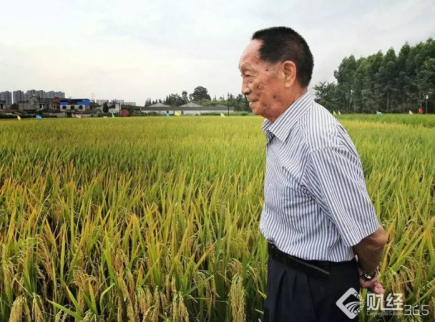 再次創新！袁隆平宣布重大成果！！
