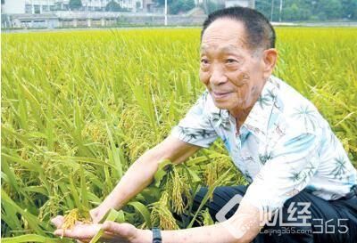 創(chuàng)業(yè)早報|“海水稻”今日測產(chǎn) 工業(yè)機器人銷量猛增