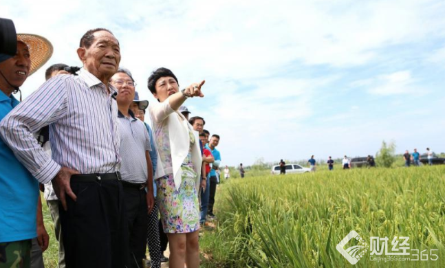 袁隆平