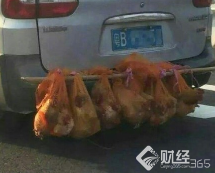 后置發(fā)動(dòng)雞