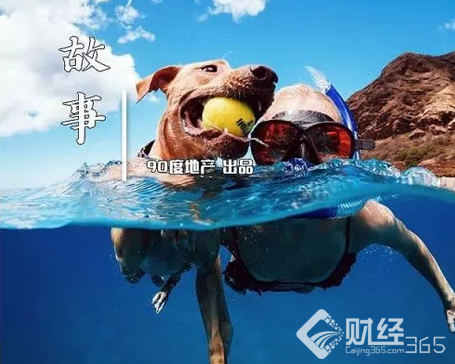 數據延伸 | 旅居治愈系：“新中產”抗焦慮必備