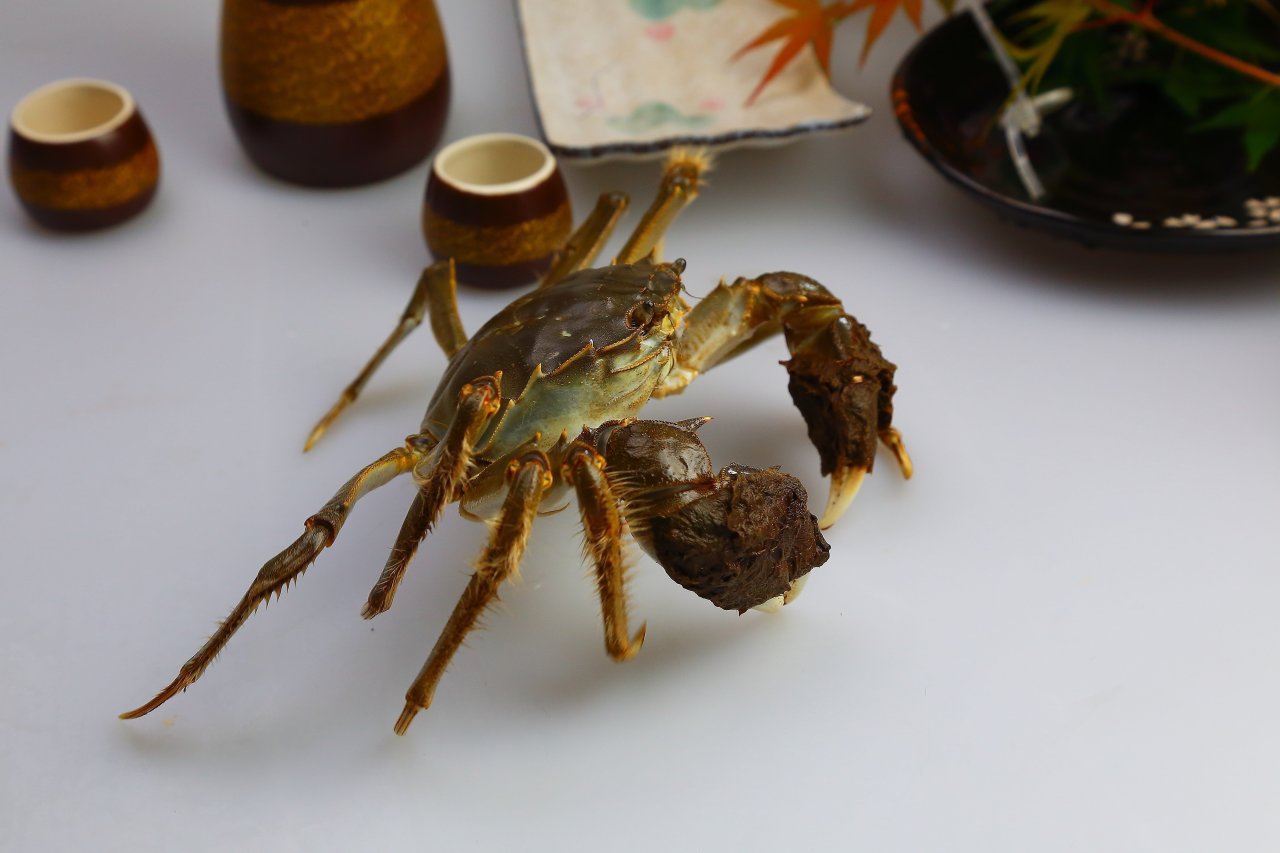 阿里巴巴物流資料圖