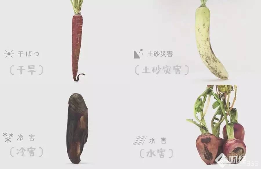 “廢物垃圾”也是寶！創業路上不可少！