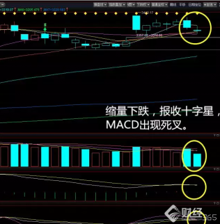 地量地價十字星，反彈一觸即發