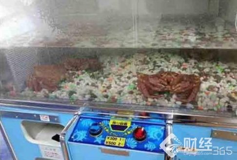 創業資訊|大神真能玩“賺”夾娃娃機？這可不一定！