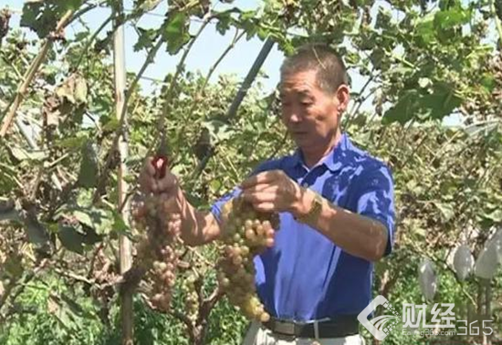 錚錚鐵骨退伍不退志！創(chuàng)業(yè)路上再現(xiàn)軍人風(fēng)采！