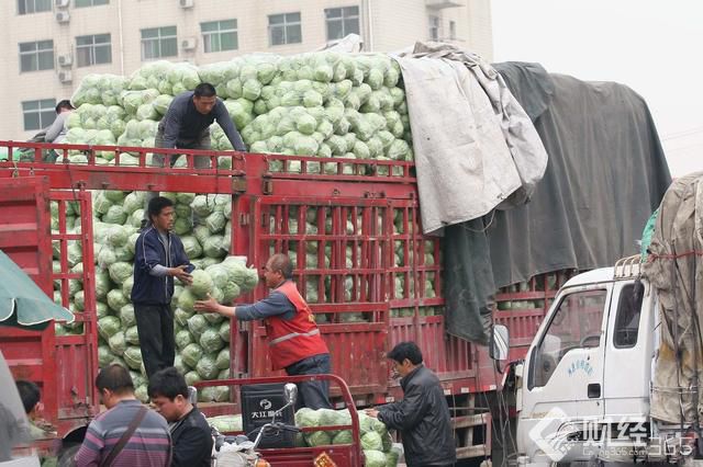 是農(nóng)民怎么了？找到“適合自己的路”，咸魚一樣可以翻身！