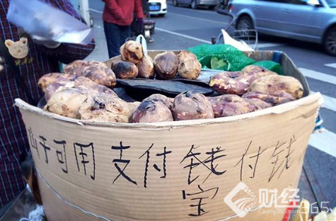 商販使用支付寶