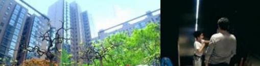 罕見!吳尊老婆比他還低調(diào) 居然住著這么“壕”的豪宅