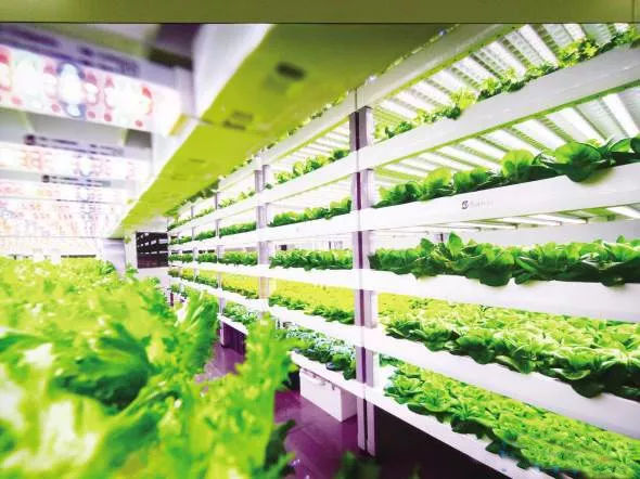 創業資訊：“鋼”老板癡迷技術 折騰成能源首富！