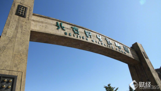 <b>多大仇？北京野生動物園游客竟下車砸熊！</b>