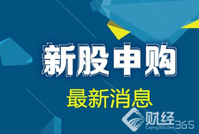 11月23日新股申購一覽：科創信息等申購指南