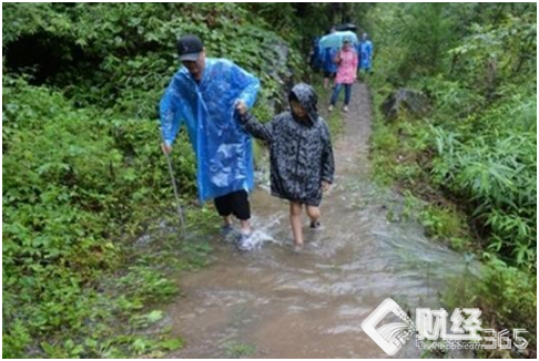 “三德子”歸隱深山養土雞，3年不到養出小名堂！