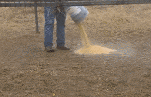 006w1u4Jgy1fm1ad2scpag308c05e7wh.gif