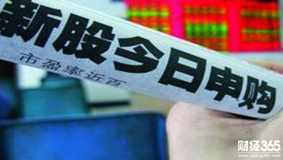 12月6日新股申購一覽：IPO發審低通過率背后