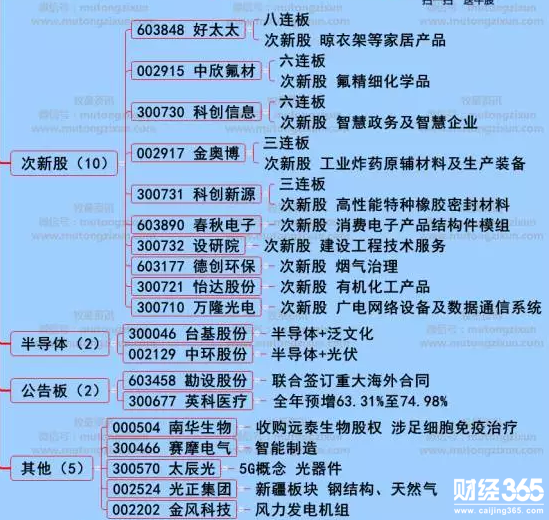 漲停個股分析