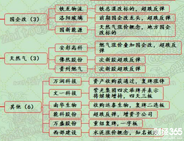 漲停個股分析