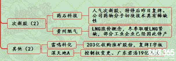 漲停個股分析