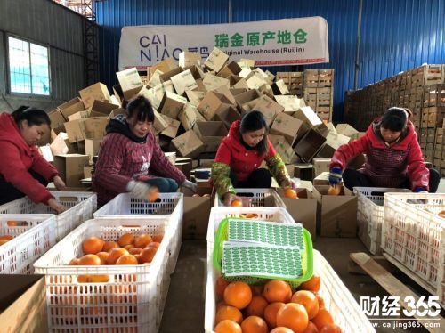開設(shè)農(nóng)產(chǎn)品原產(chǎn)地倉