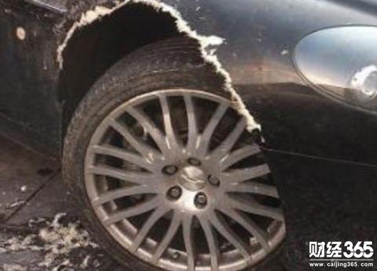 400萬豪車被牧羊犬練牙 誰來負責？