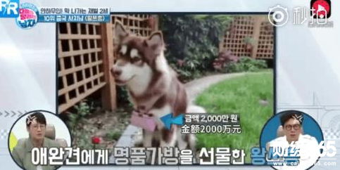 王思聰的可可