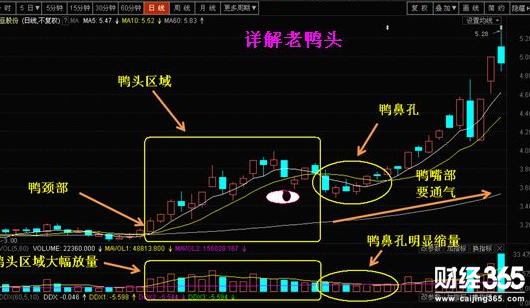 什么是老鴨頭技術(shù)形態(tài)