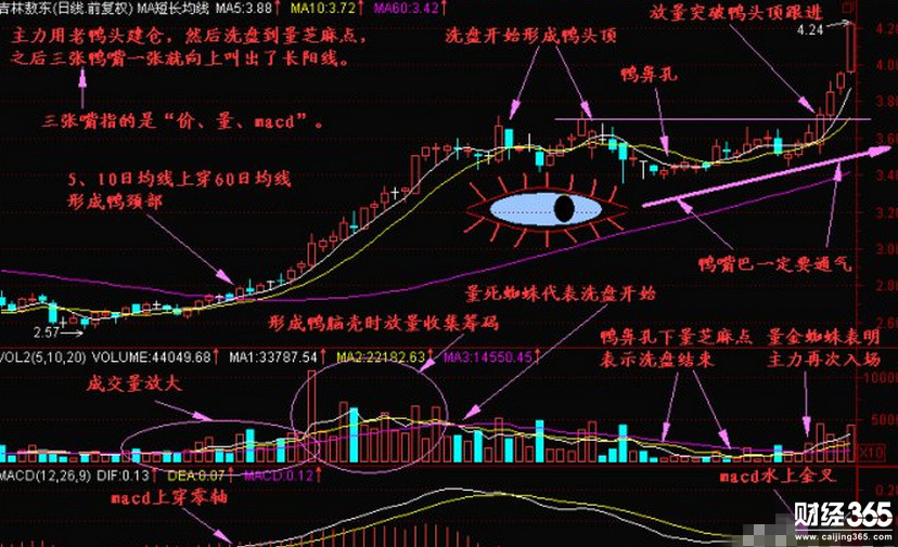 老鴨頭技術(shù)最全剖析