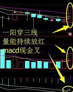 股票入門基礎知識