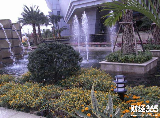 新華聯(lián)控股自曝舉牌賽輪金宇