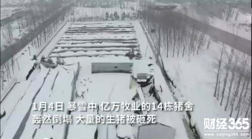 QQ圖片20180109091435.png
