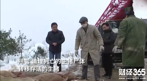 QQ圖片20180109091547.png