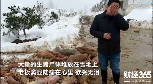 QQ圖片20180109091637.png